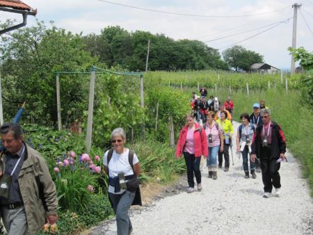 Pomlad v prleških goricah 2013 17